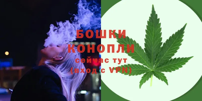 где можно купить наркотик  Чкаловск  Шишки марихуана Ganja 